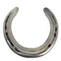 Authentic Lucky Horse Shoe